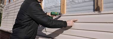 Best Vinyl Siding Installation  in Rainbow, CA